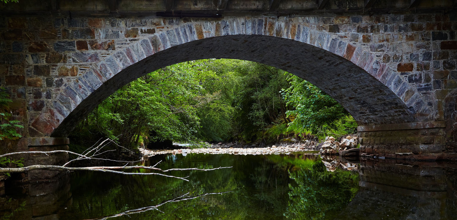 timeless support and reliability